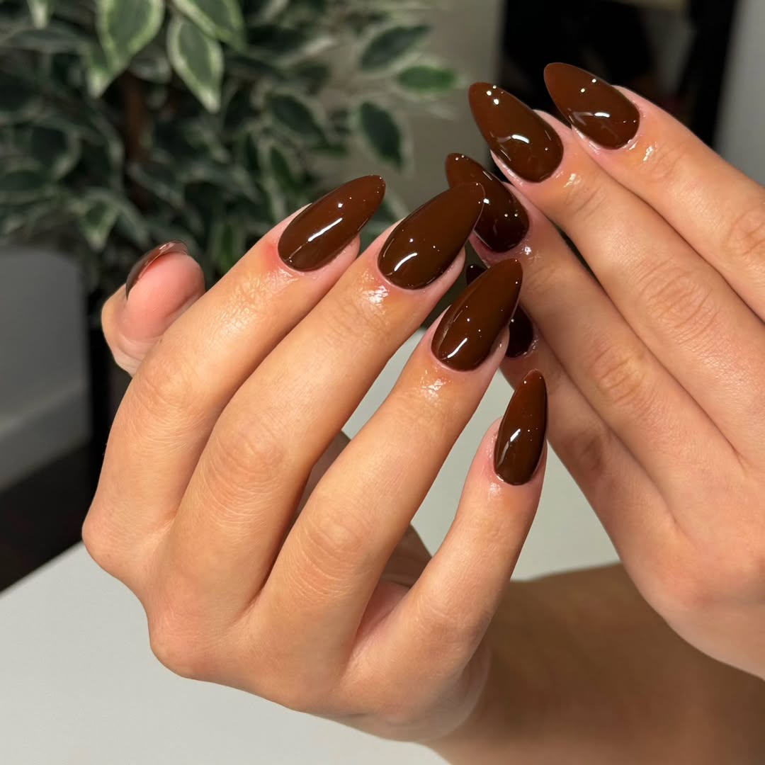 Stylish glossy brown nails with pointed tips