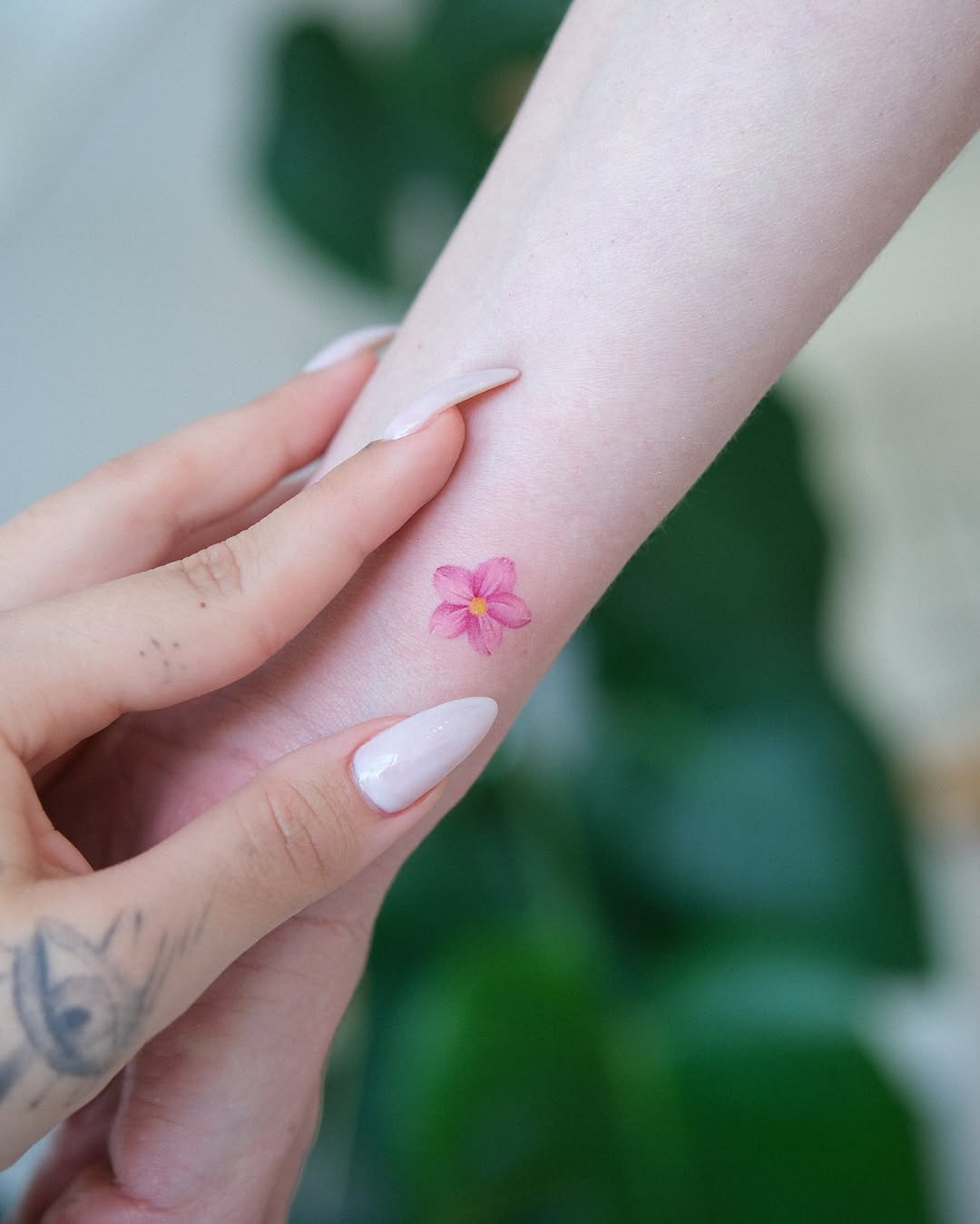 Delicate pink flower tattoo on forearm skin