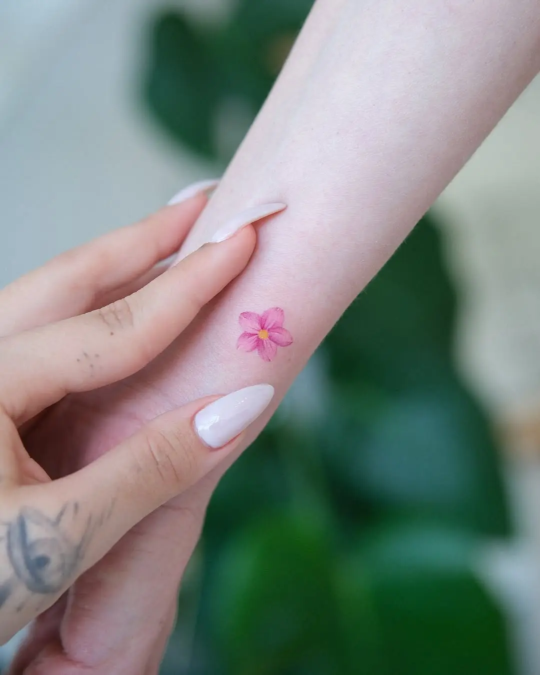 Delicate pink flower tattoo on forearm skin