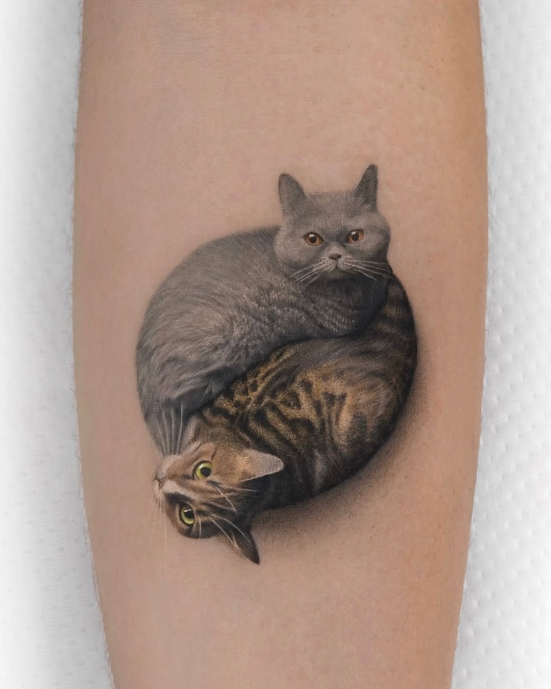 Whimsical Portrait of Two Cats Embraced