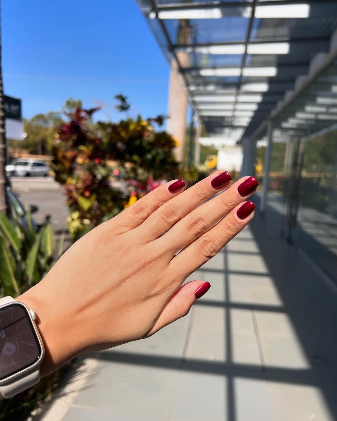 Elegant red nails under bright sunlight
