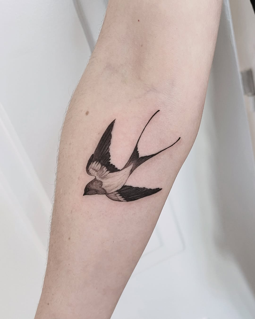 Elegant swallow tattoo with graceful wings