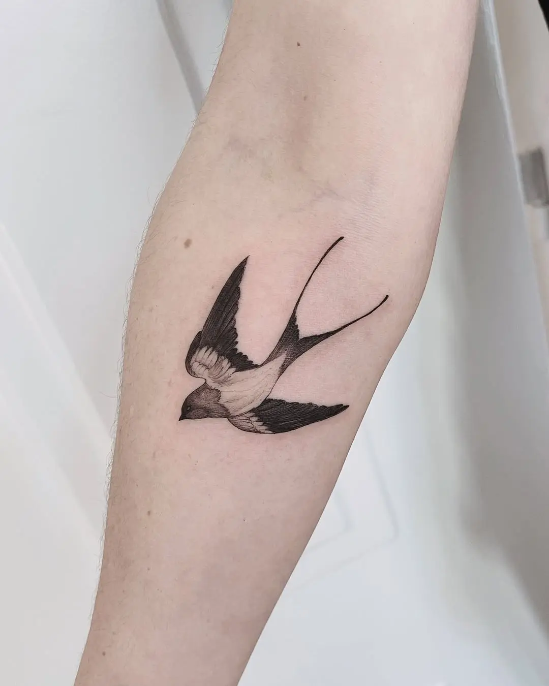Elegant swallow tattoo with graceful wings