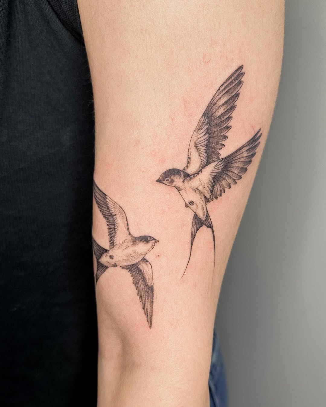 Graceful Swallows in Flight, Captivating Artistry