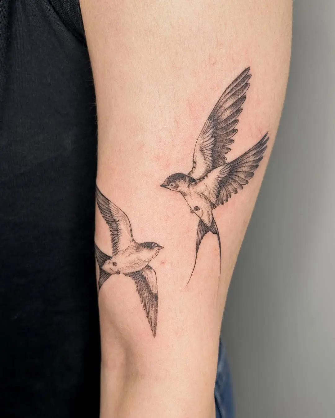 Graceful Swallows in Flight, Captivating Artistry