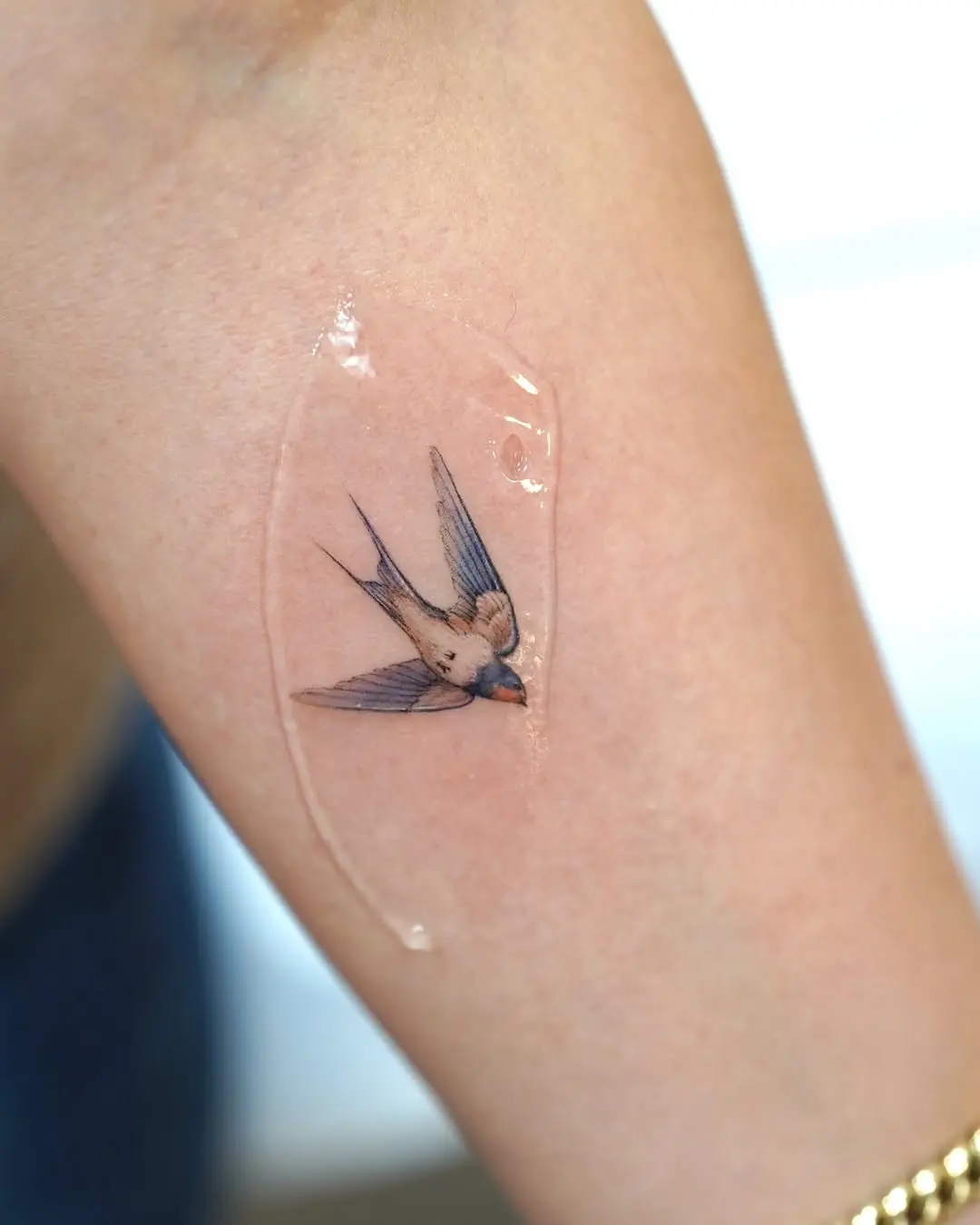Delicate swallow tattoo on the arm