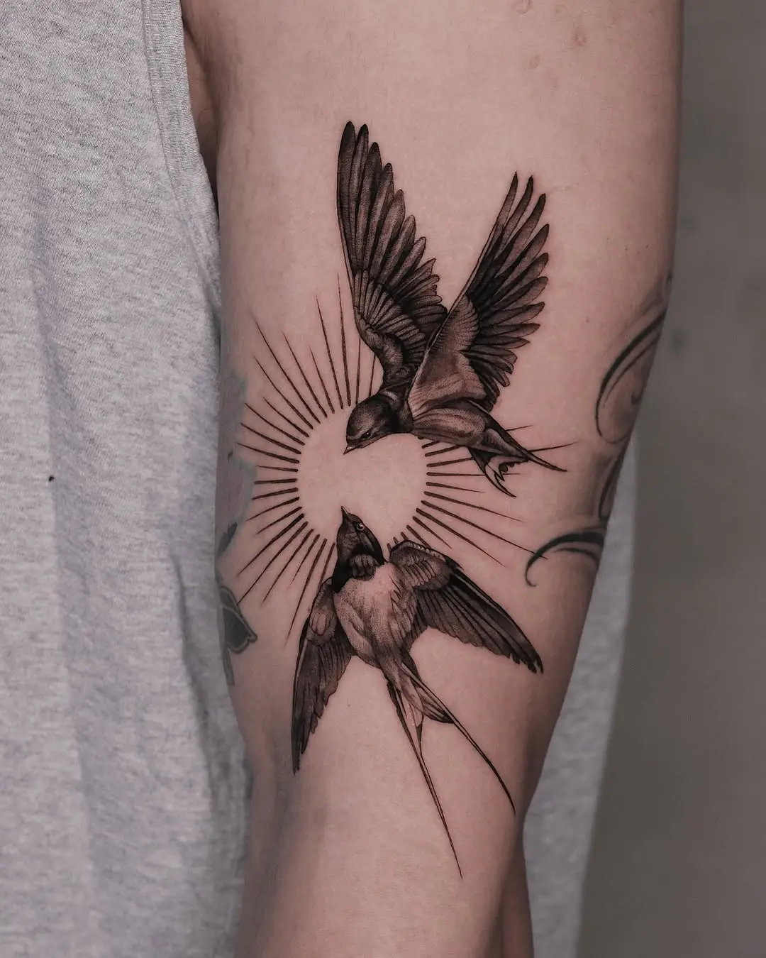 Stunning Swallows in Dynamic Flight Design