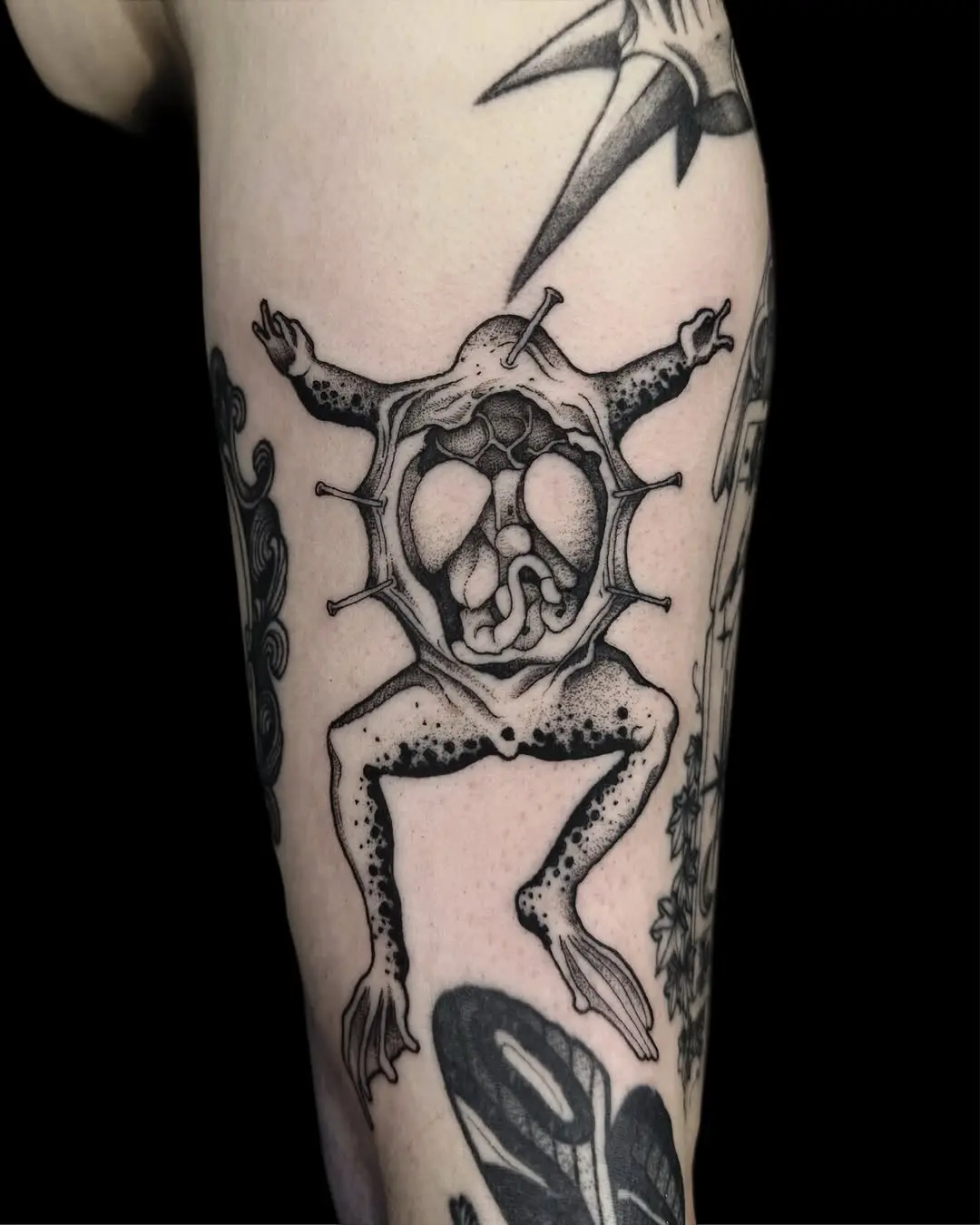 Intricate frog tattoo revealing internal anatomy