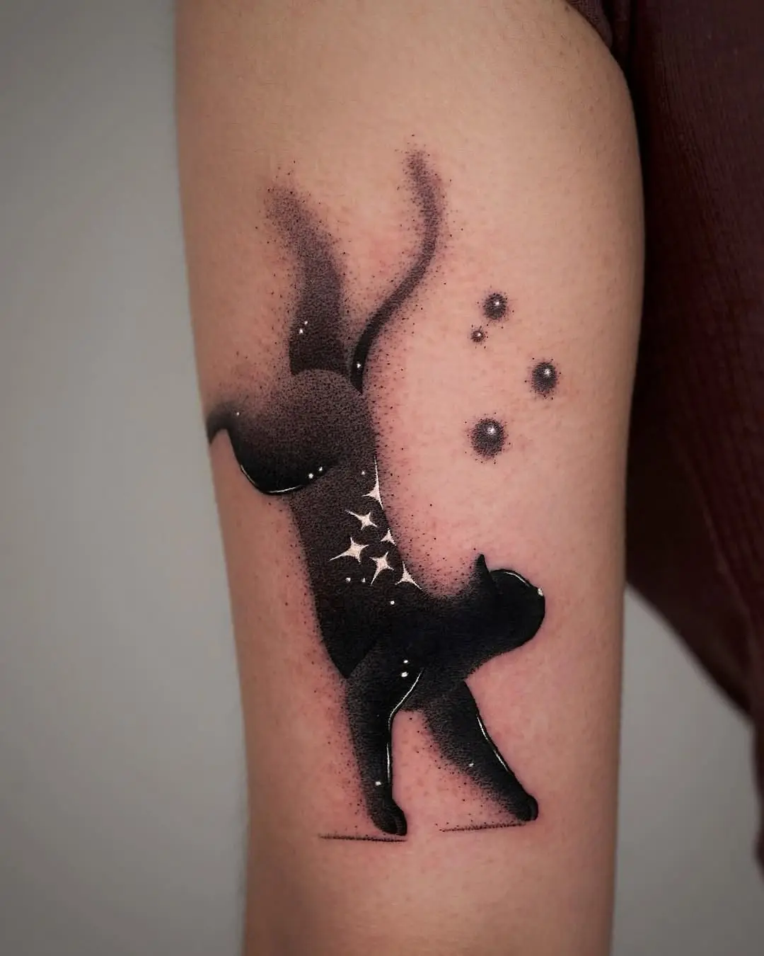 Elegant cat silhouette with cosmic elements