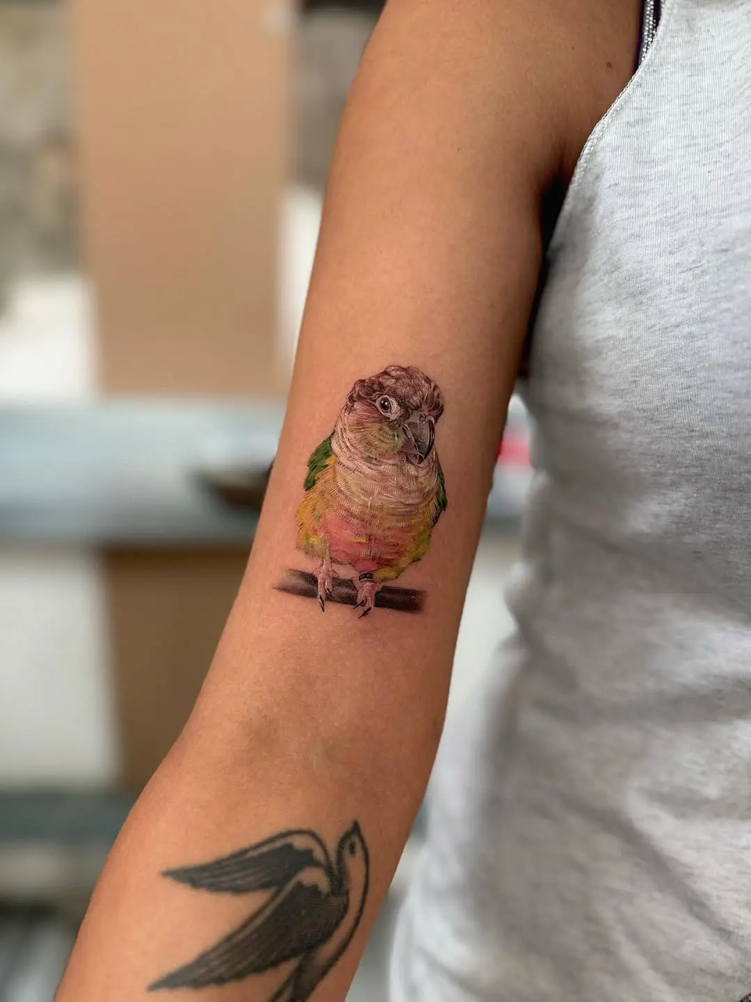 Vivid parrot tattoo on arm showcases artistry
