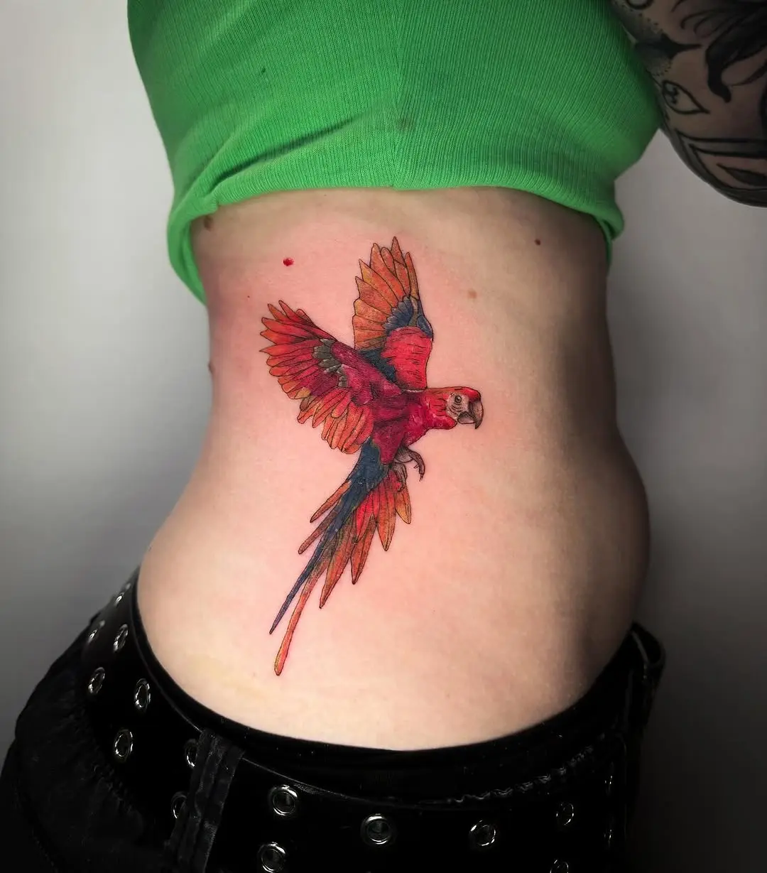 Vibrant macaw tattoo on the side body