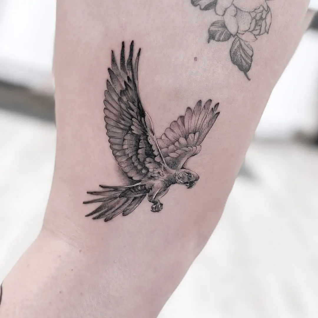 Stunning detailed parrot tattoo in flight