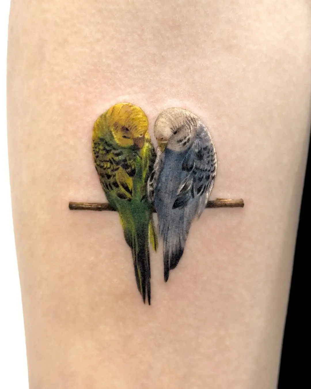 Realistic budgie tattoo symbolizing love and harmony