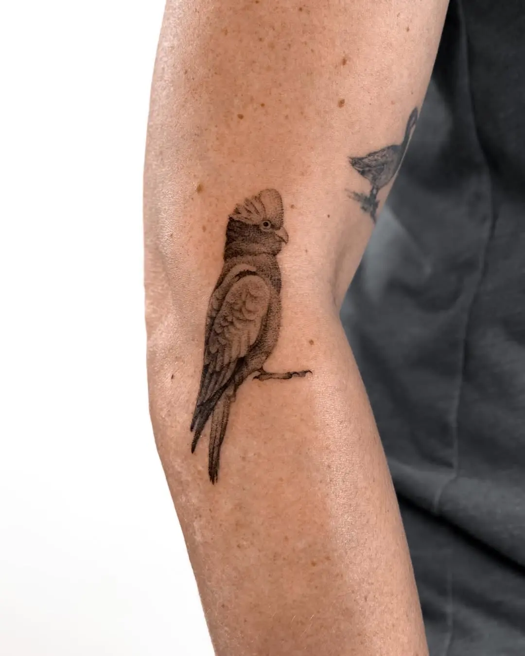 Realistic parrot tattoo showcasing intricate detail