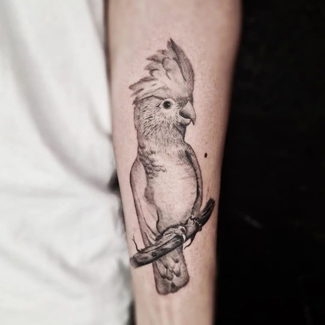 Elegant black and white parrot tattoo design