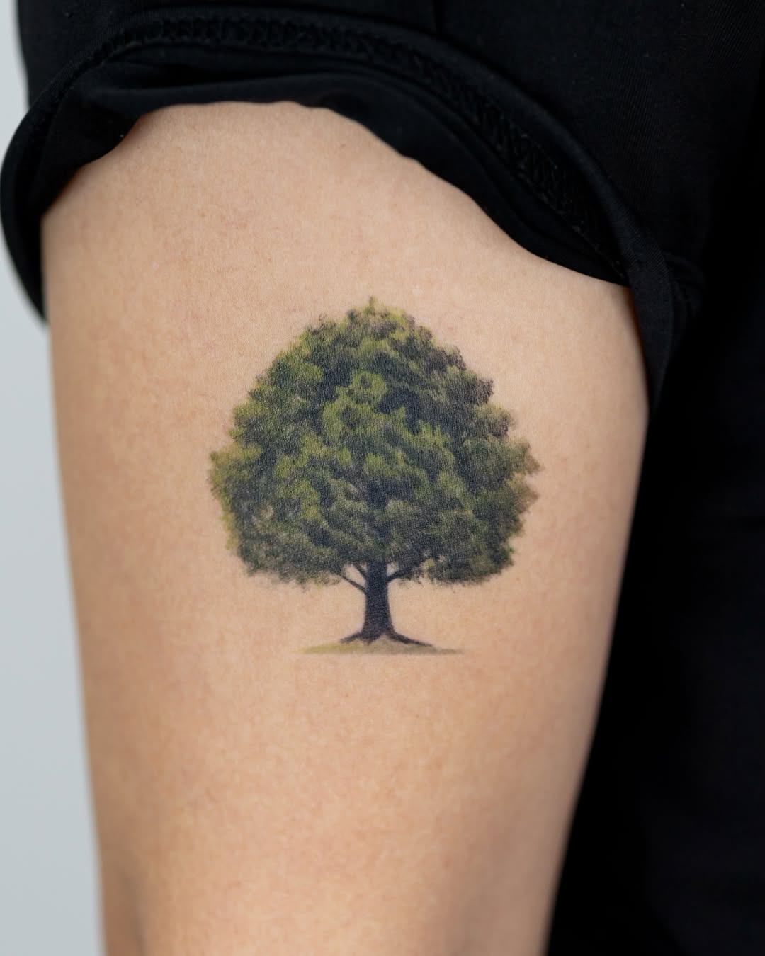 Stunning realistic tree tattoo on arm