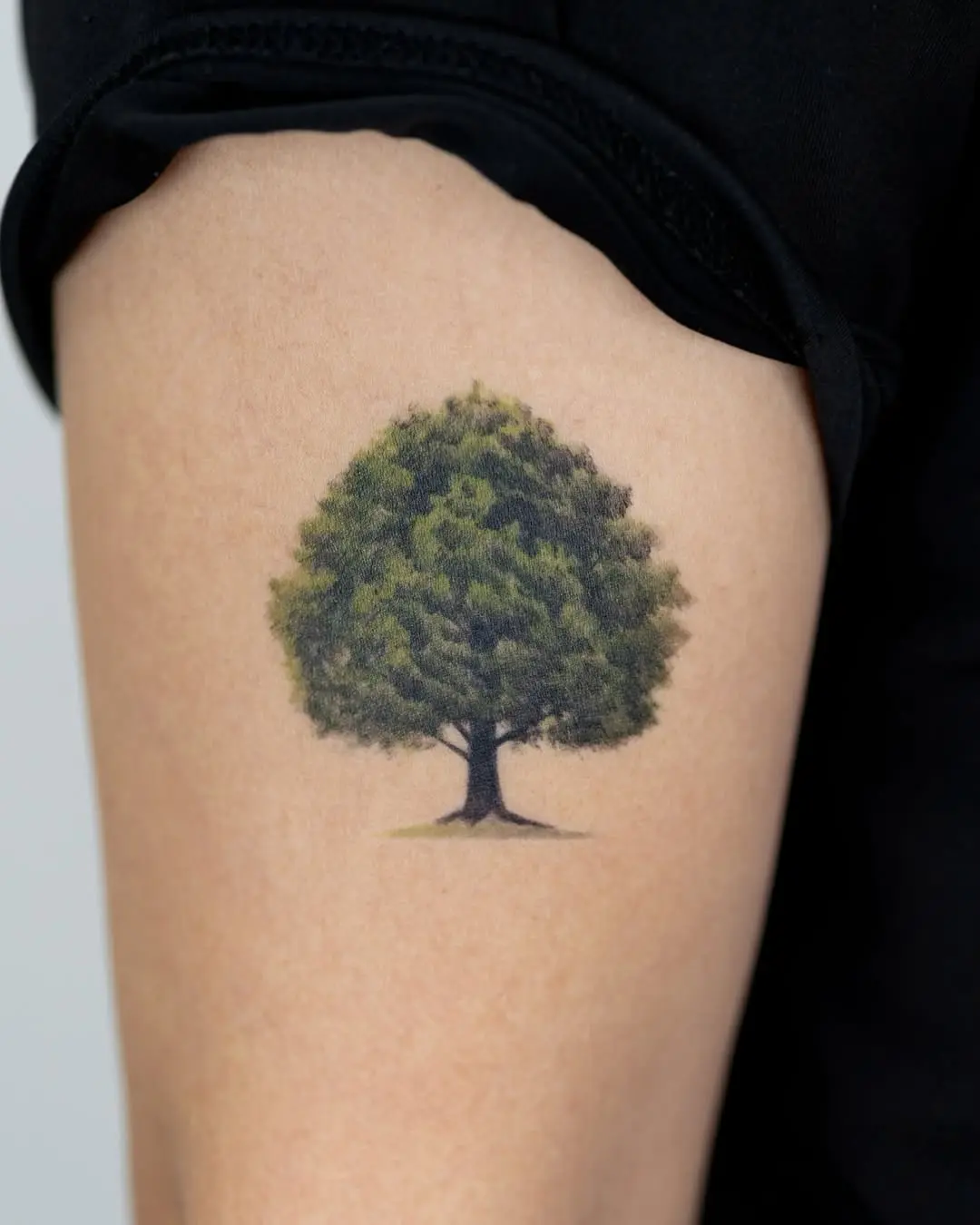 Stunning realistic tree tattoo on arm
