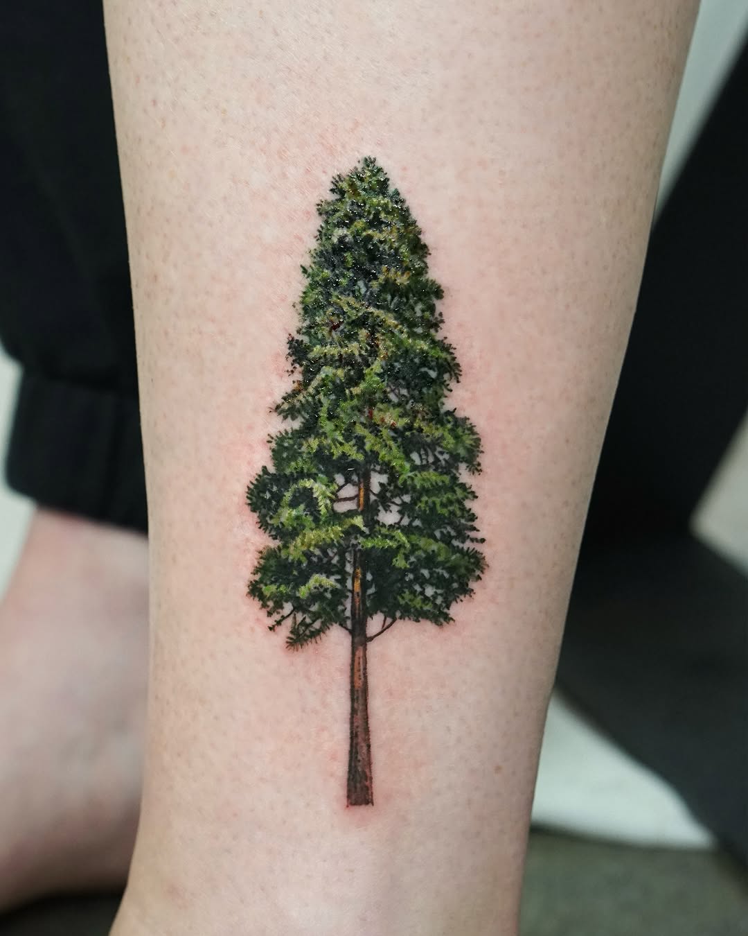 Nature-inspired tree tattoo showcasing vibrant greens