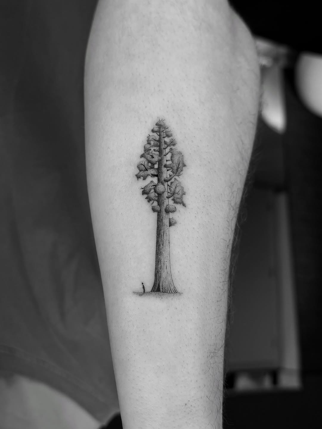 Stunning black and gray tree tattoo design
