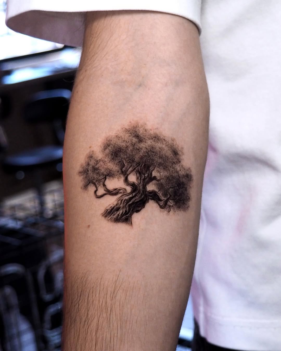 Stunning black ink tree tattoo on arm