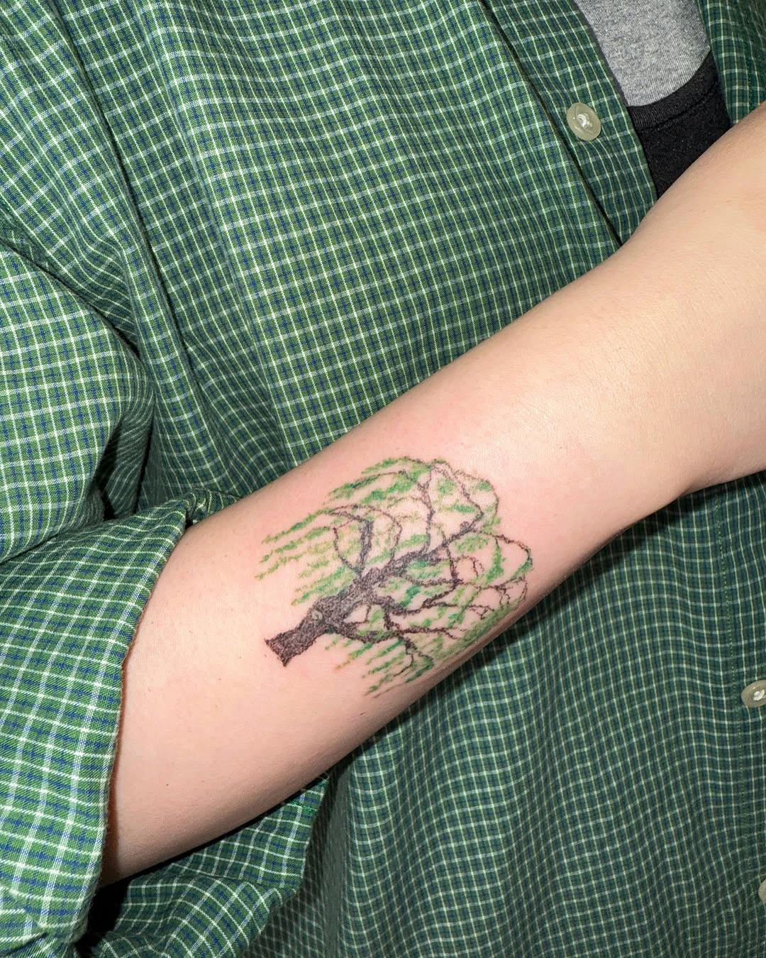 Nature-inspired tree tattoo gracefully displayed on arm