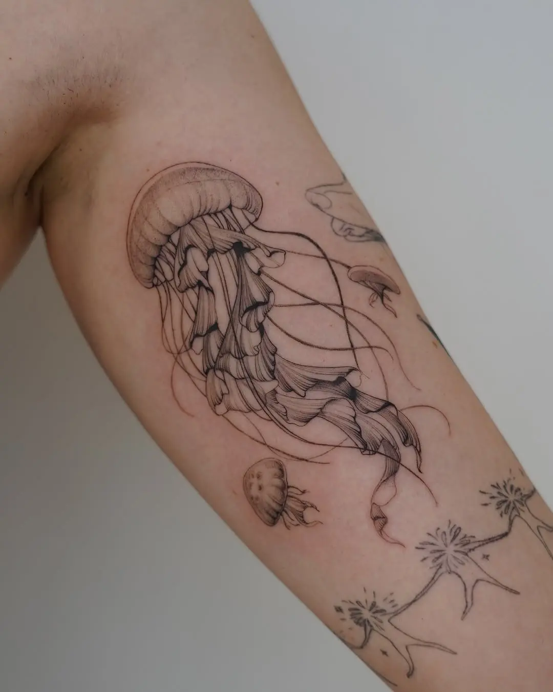 Elegant blackwork jellyfish tattoo on arm