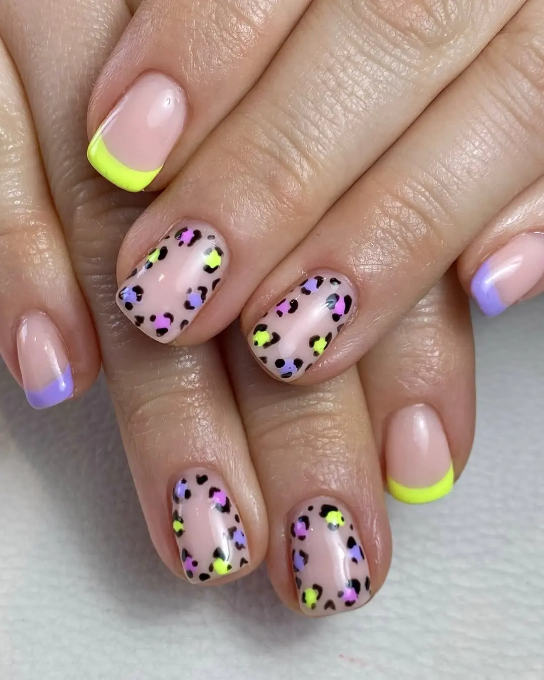 Playful leopard print with vibrant French tips