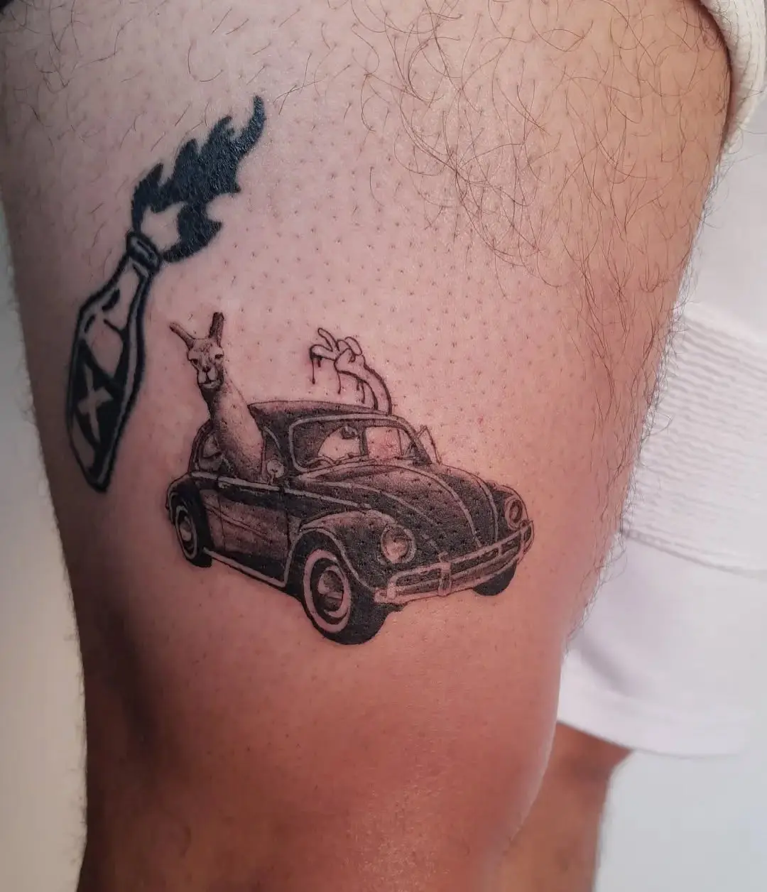 Lively llama tattoo cruising in a vintage car