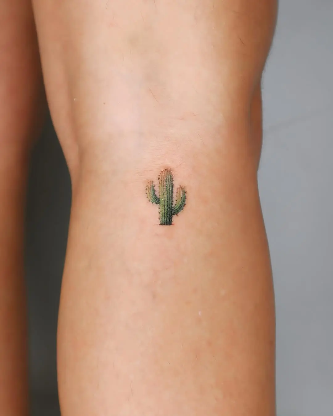 Charming small cactus tattoo on the leg