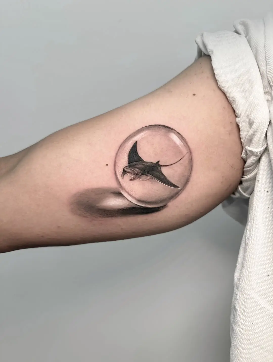 Elegant manta ray in a circular illusion