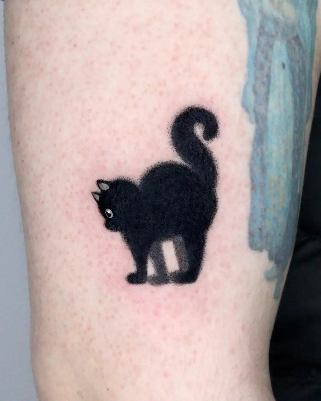 Charming silhouette of a playful black cat