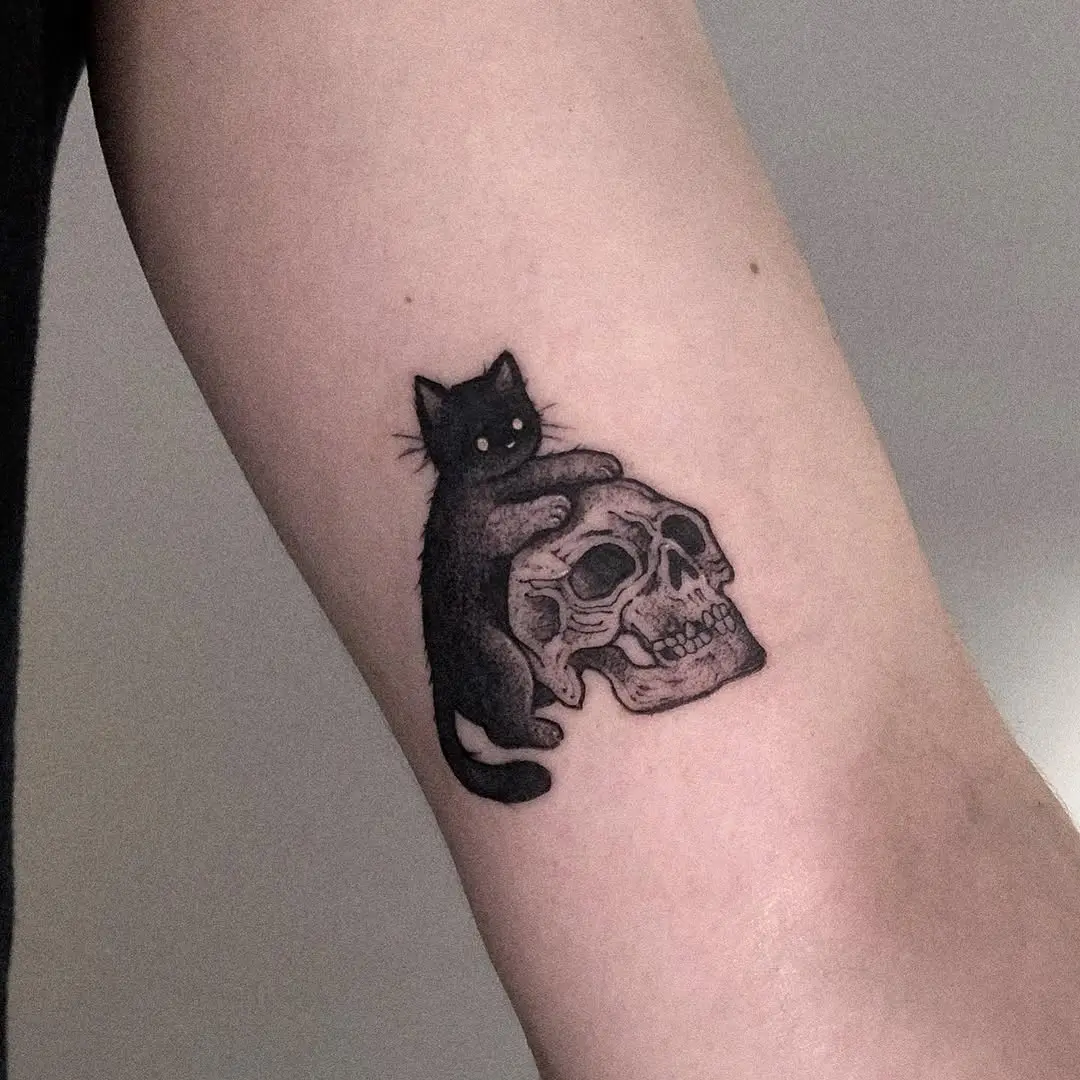 Charming black cat perched on a skull