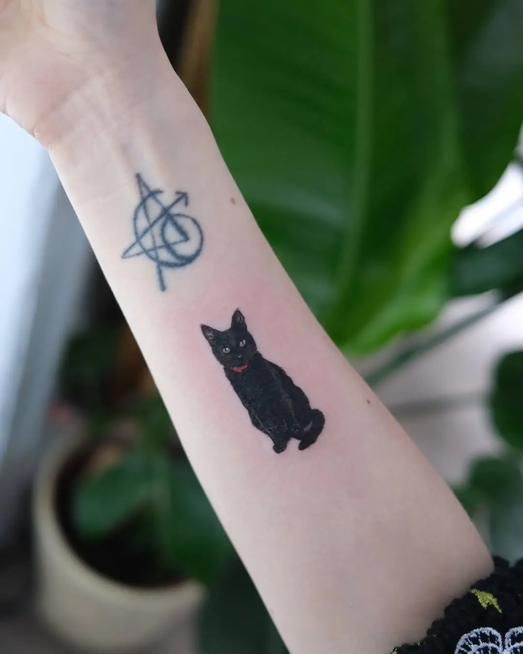 Elegant black cat tattoo with vibrant details