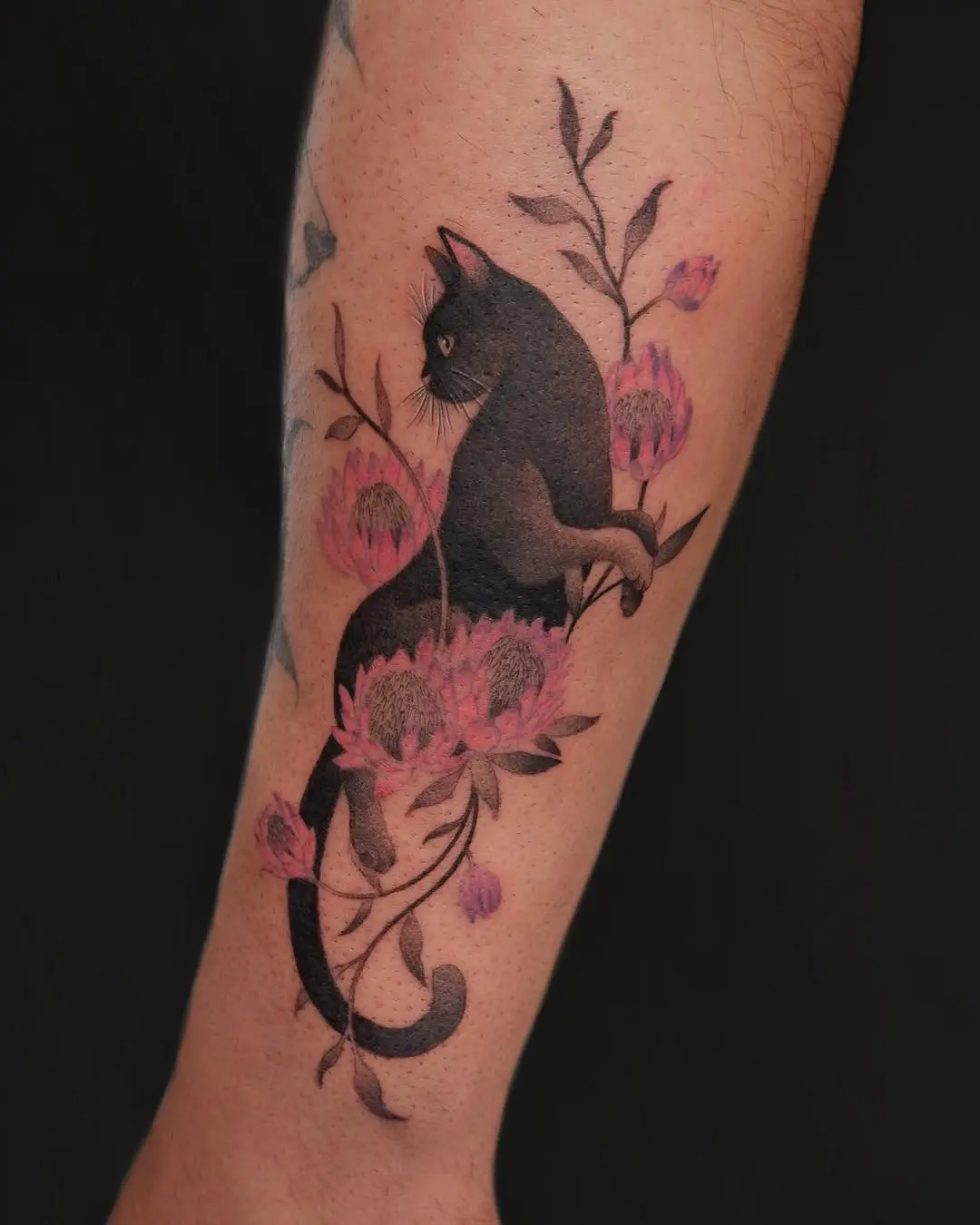 Elegant black cat amidst blooming flowers