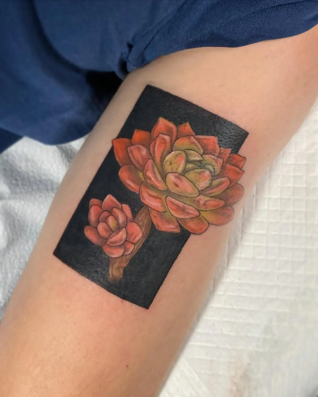 Vibrant succulent tattoo with rich colors