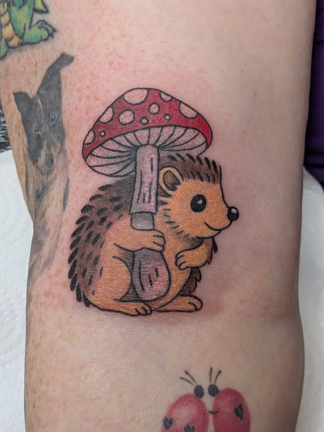 Charming hedgehog with a whimsical mushroom hat