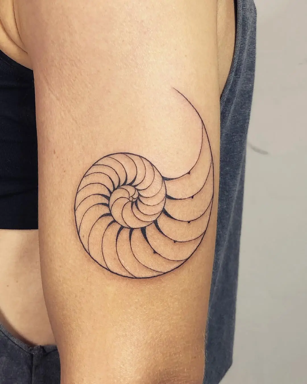 Elegant Fibonacci spiral tattoo on inner arm