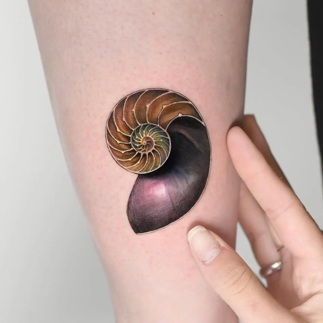 Stunning Fibonacci shell tattoo design on leg