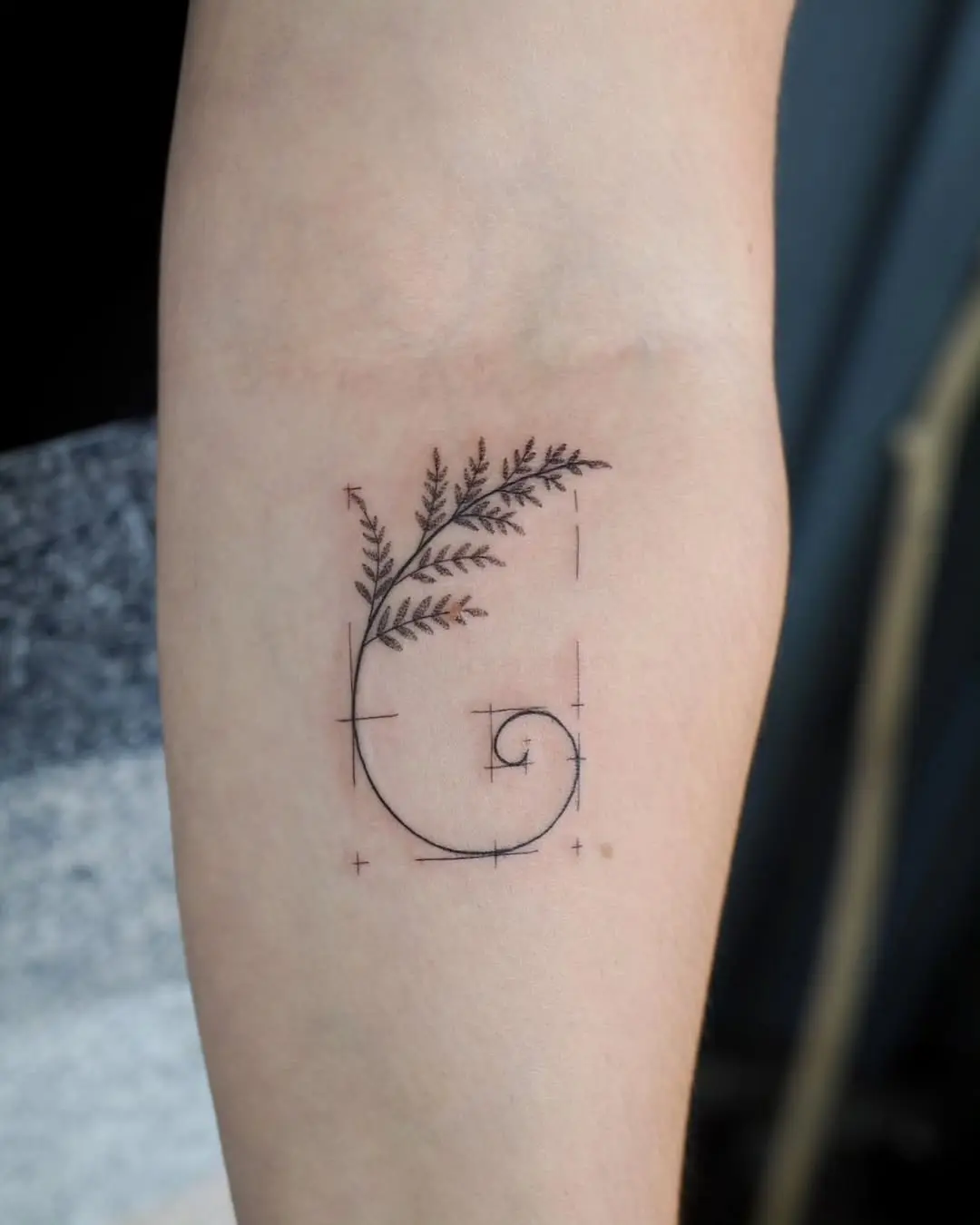 Elegant Fibonacci Fern Tattoo Design