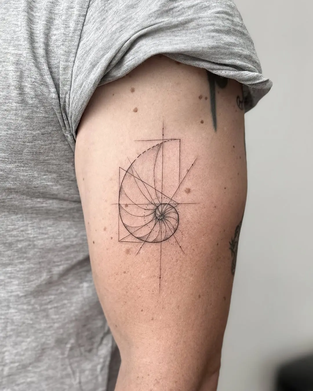 Stunning Fibonacci Spiral on Arm Tattoo