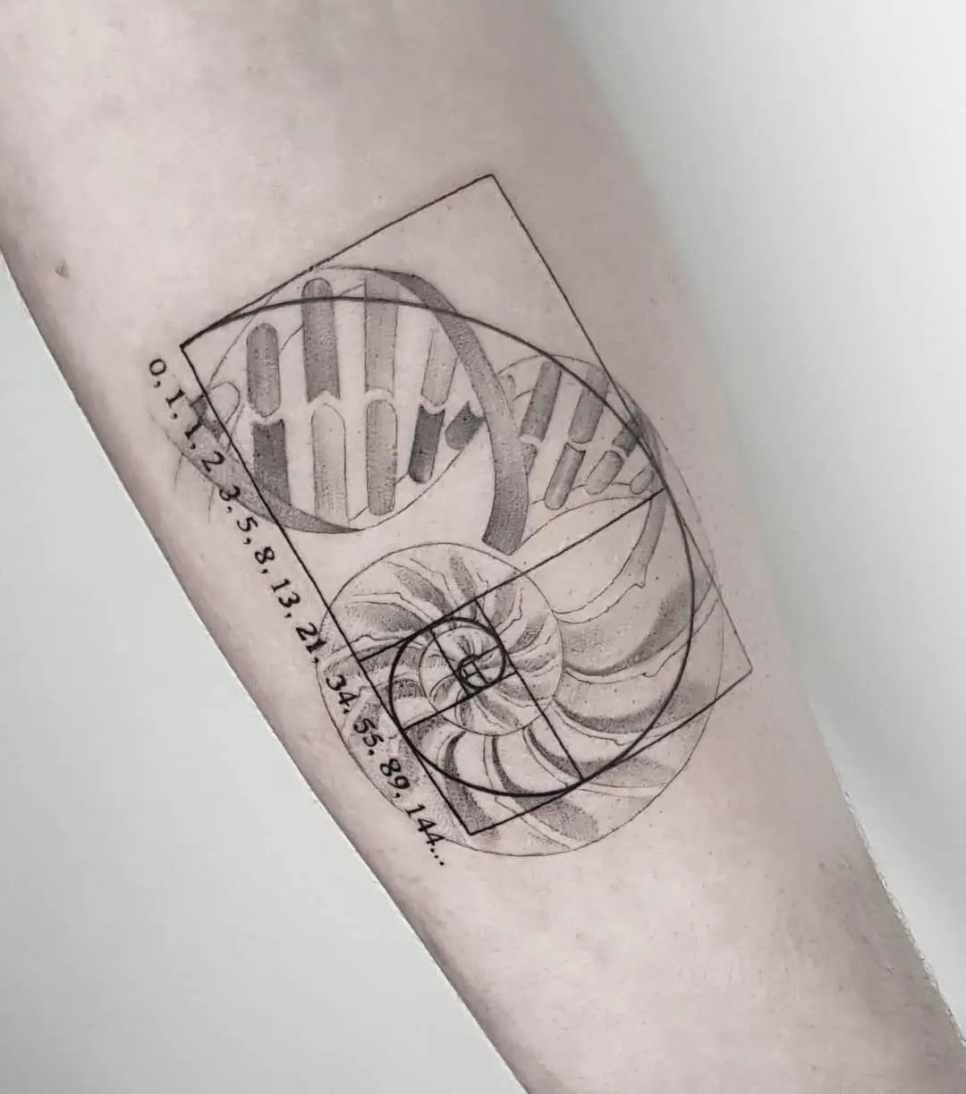 Intricate Fibonacci spiral-themed tattoo design