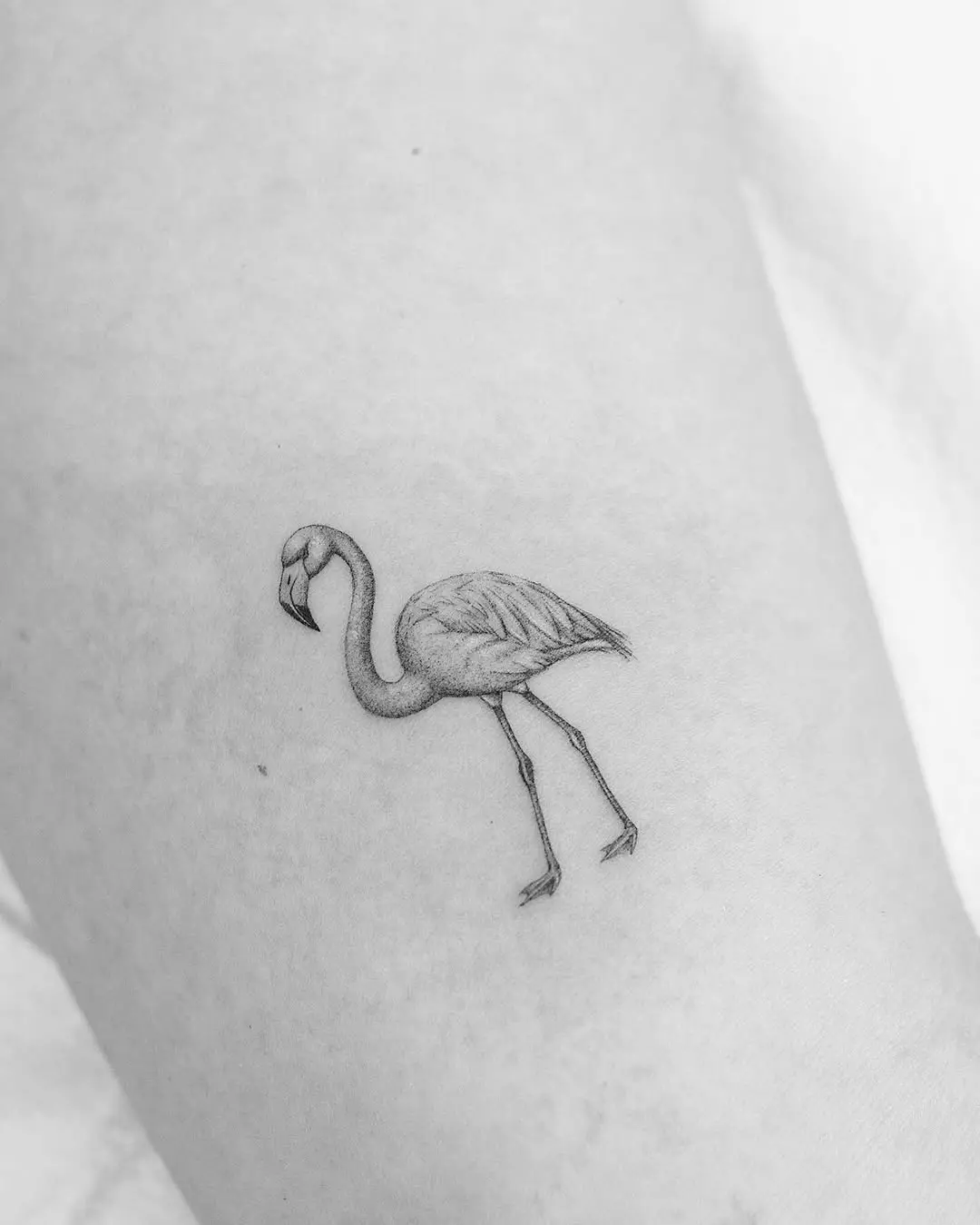Minimalist flamingo tattoo in detailed black ink