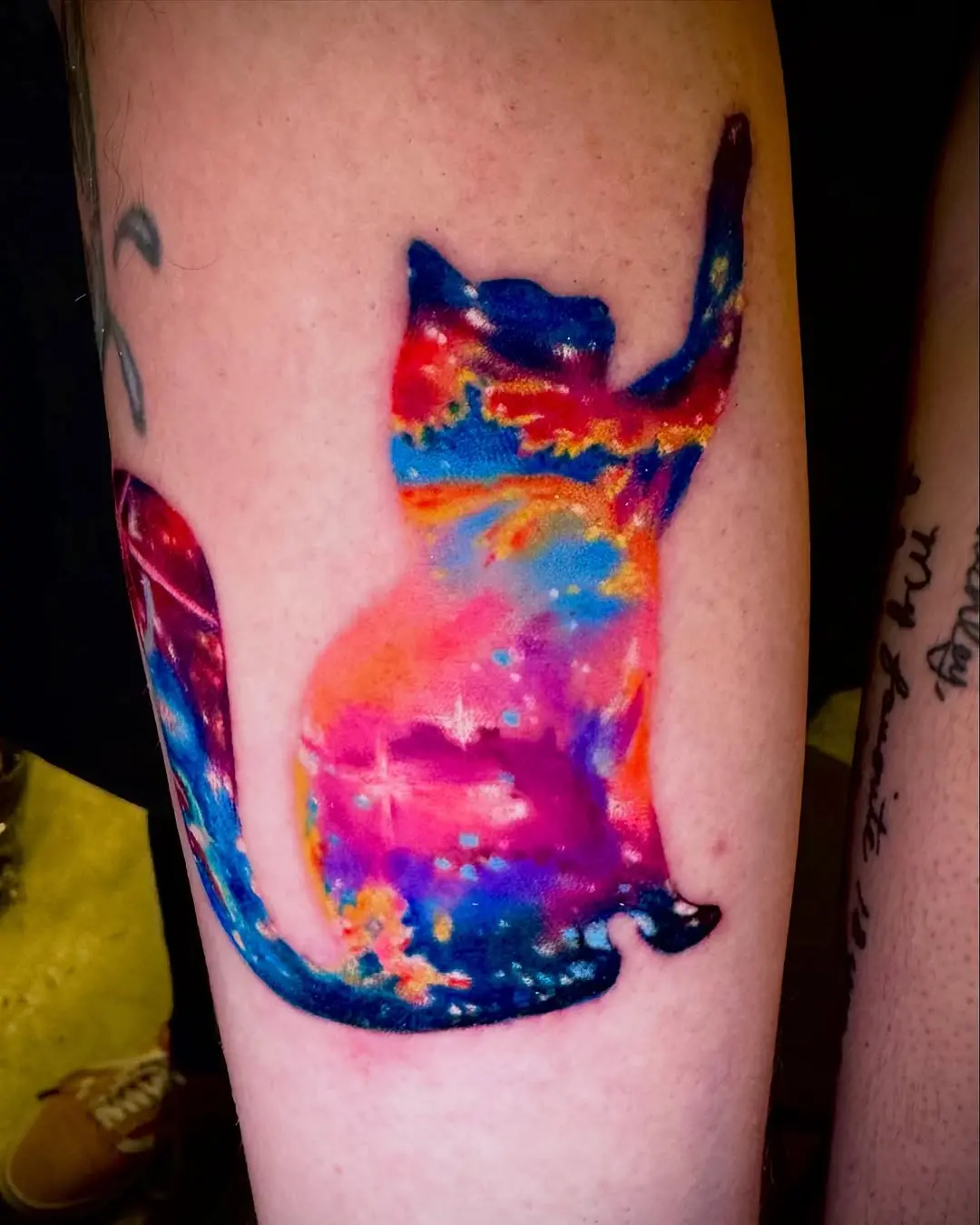 Colorful Cat Silhouette with Cosmic Details
