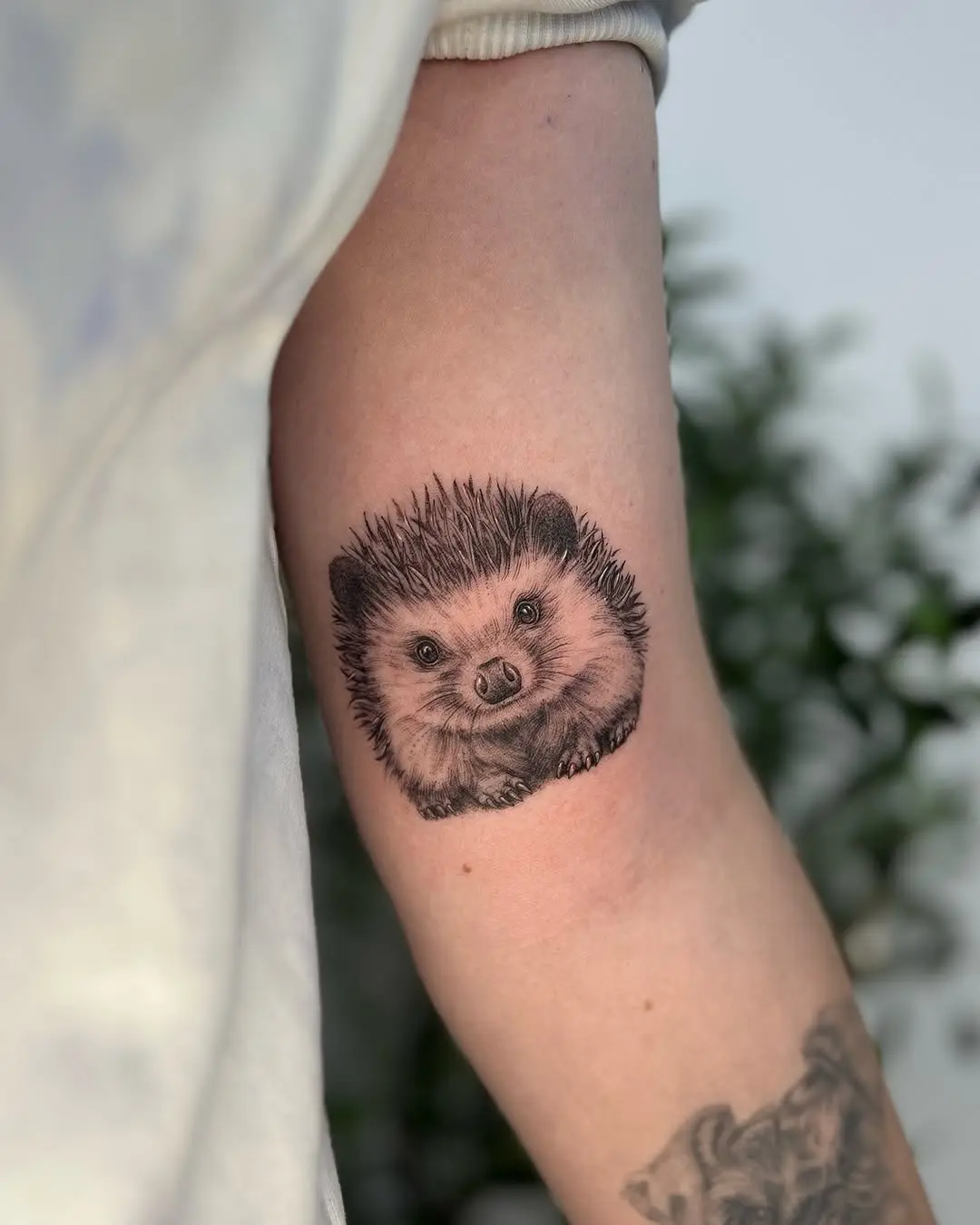 Charming hedgehog tattoo capturing playful spirit