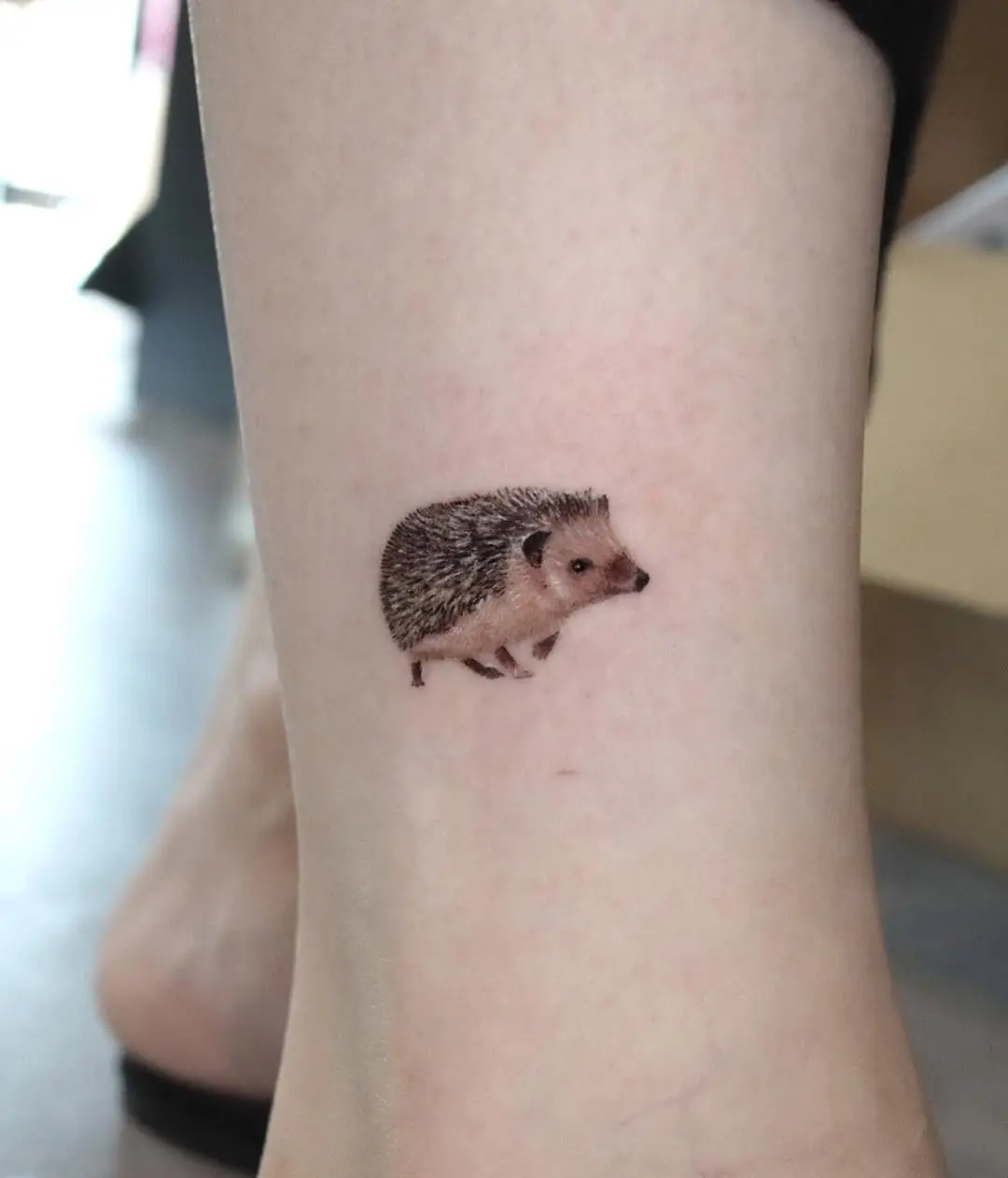 Charming hedgehog tattoo on the ankle