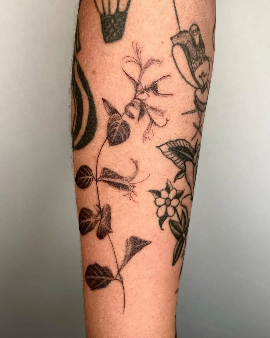 Elegant honeysuckle tattoo showcasing delicate line work