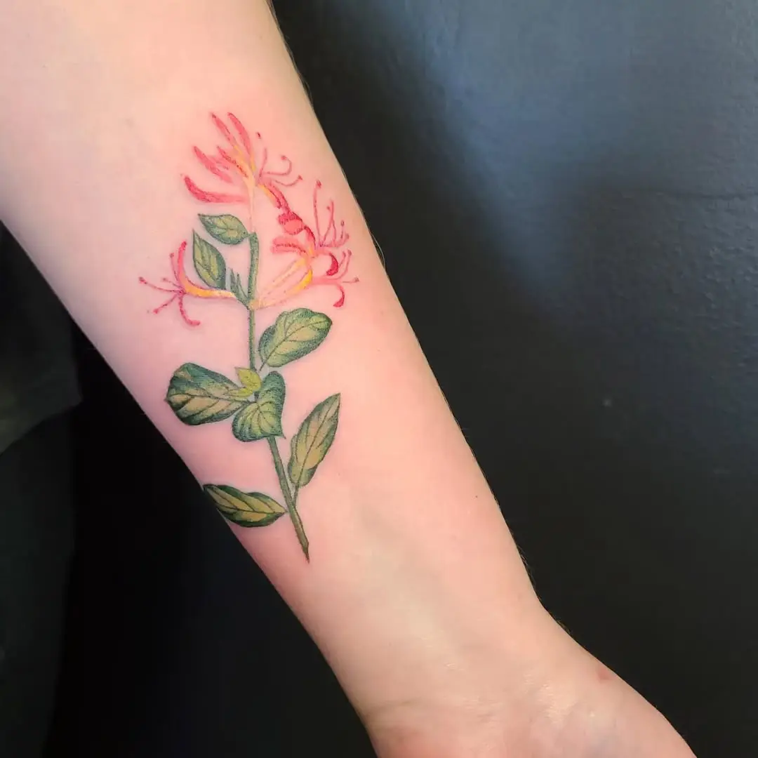 Vibrant honeysuckle tattoo with detailed foliage