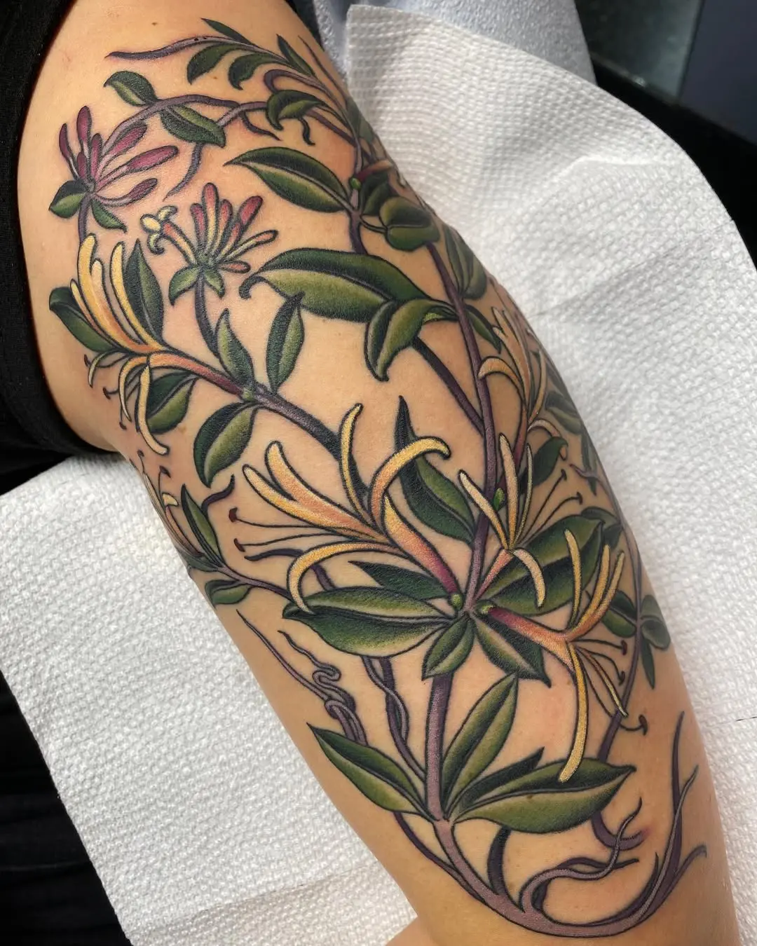 Stunning honeysuckle tattoo on arm