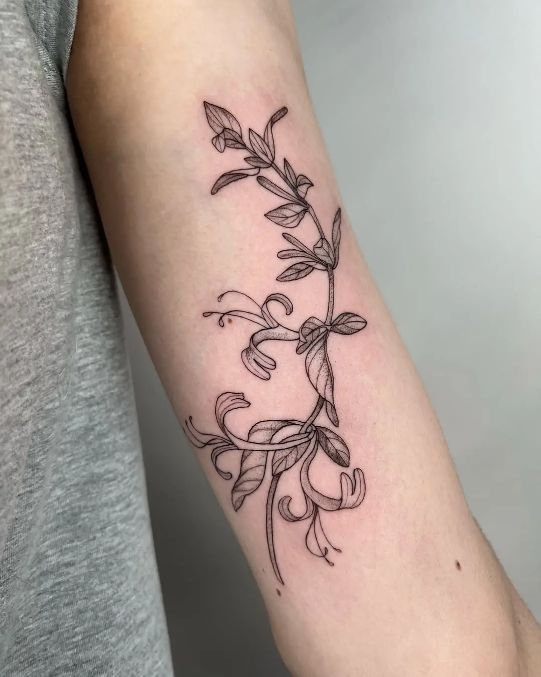 Stunning Honeysuckle Tattoo with Elegant Detailing