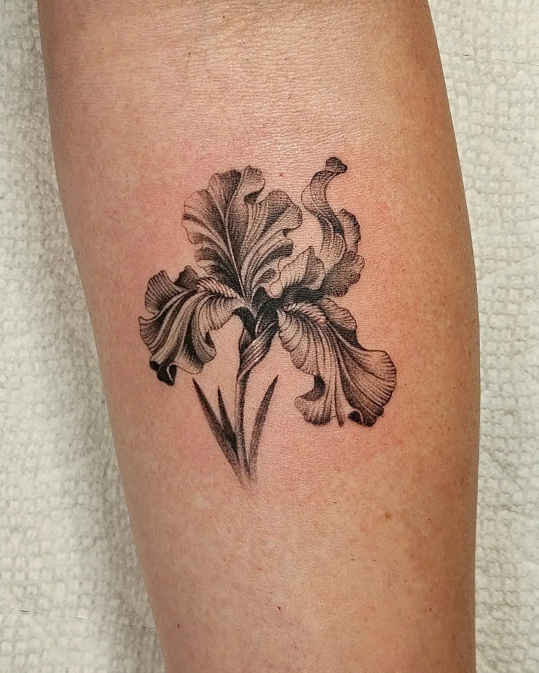 Stunning Iris Tattoo Emanating Natural Beauty